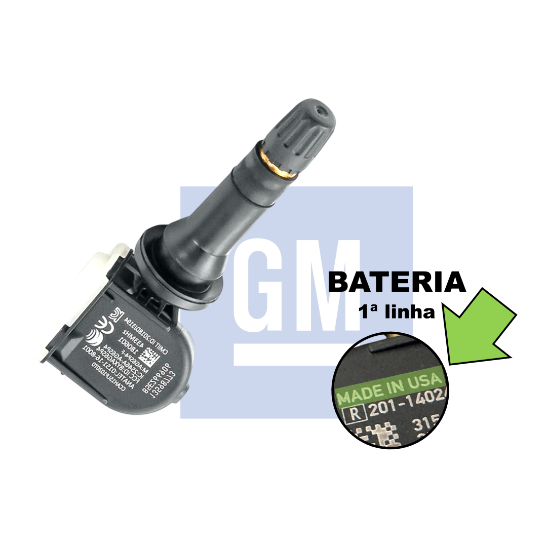 TPMS 13598773 01 unidade